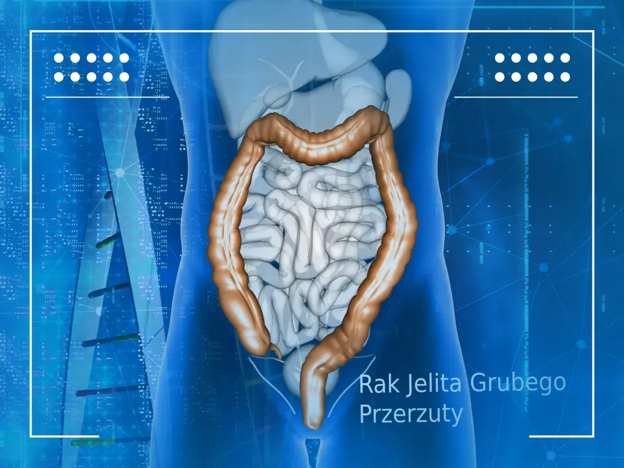 Anatomical illustration of the large intestine, highlighting its structure. Text reads 