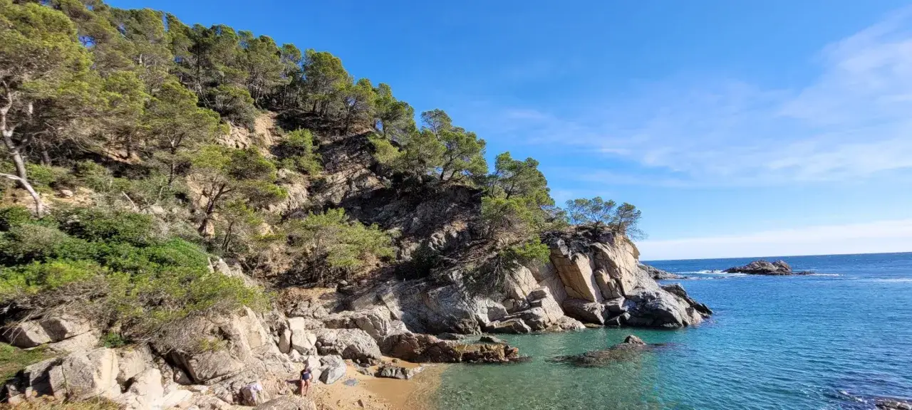Acantilados verdes y rocosos con aguas cristalinas, ideales para excursiones en Lloret de Mar.