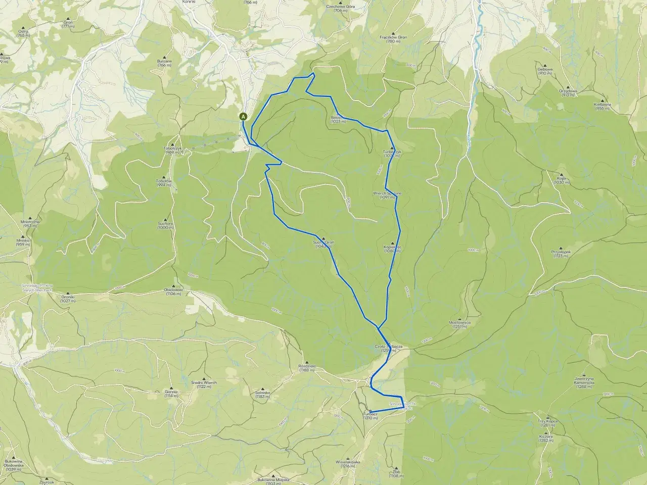 Mapa szlaku na Turbacz z psem. Trasa prowadzi przez malownicze tereny górskie, oznaczona niebieską linią.