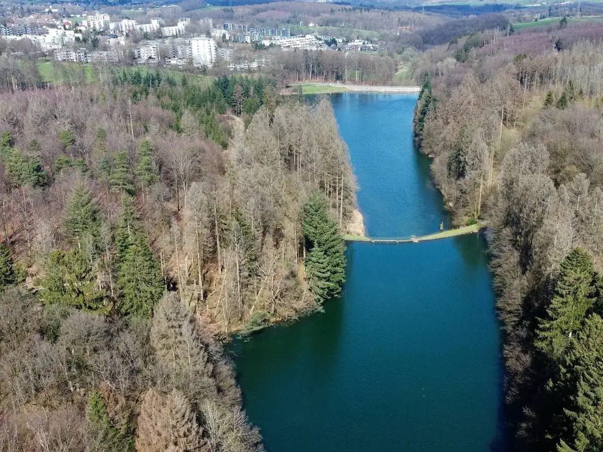 Luftaufnahme des Panzertalsperre-Rundwegs mit blauem Wasser, bewaldeten H&auml;ngen und einer Stadt im Hintergrund.