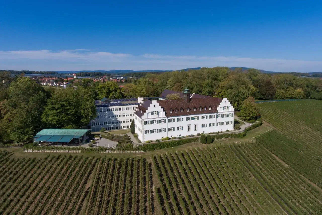 Schloss Hersberg, ein weißes Gebäude mit roten Dächern, liegt inmitten von Weinbergen und Bäumen.