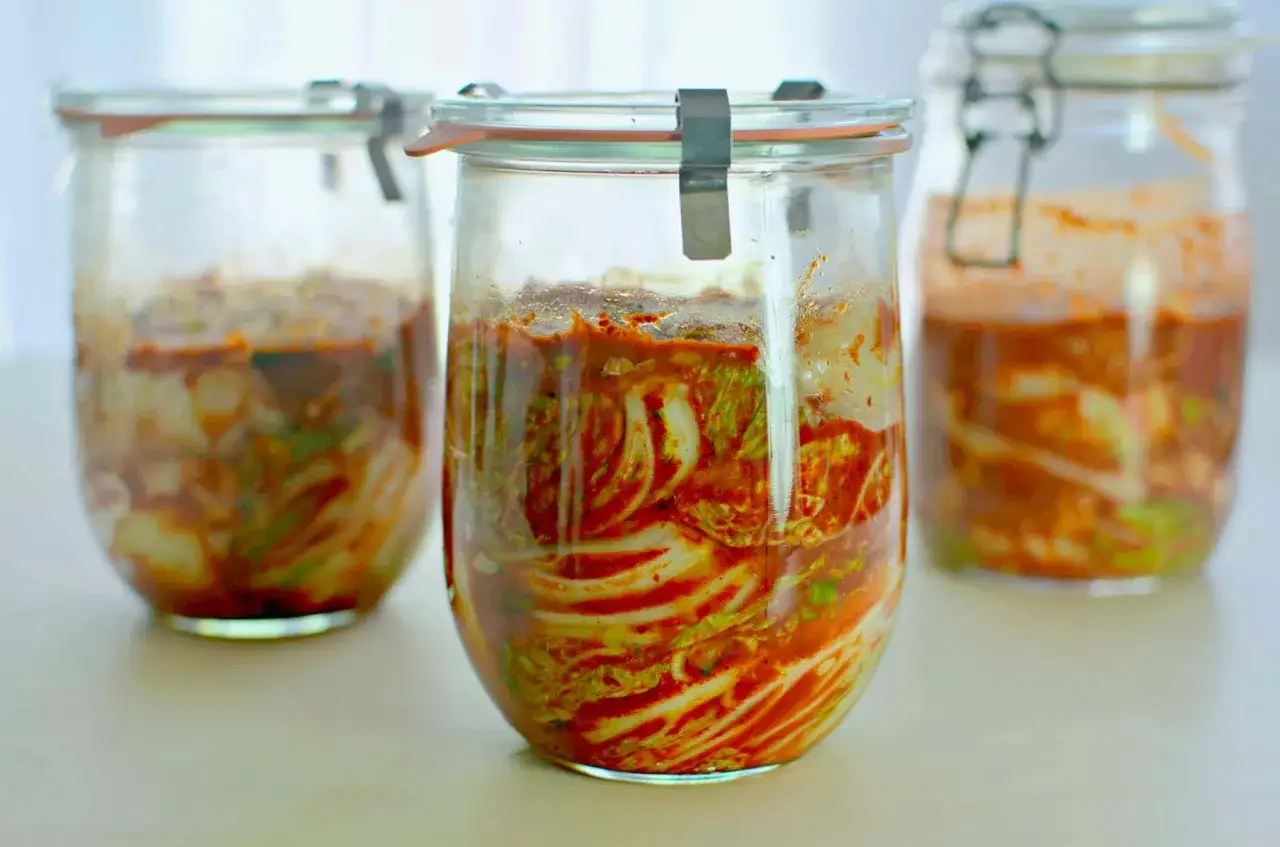 Tre glasburkar med fermenterad kål, som påminner om kimchi. En burk med en aktiv ginger bug skulle kunna se likadan ut.