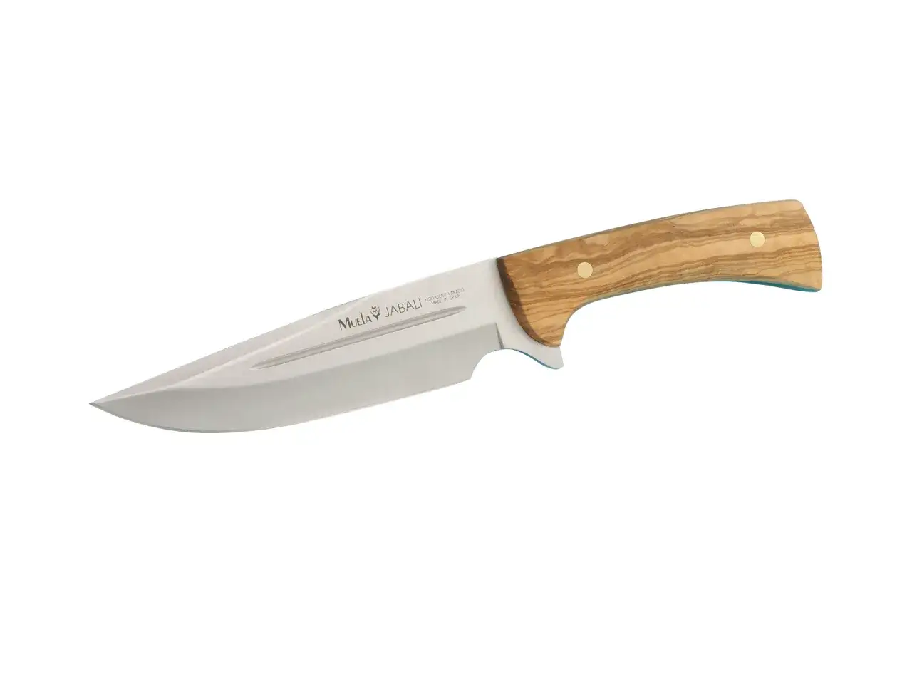 Cuchillo Muela Jabali con mango de olivo. Ideal para la caza y actividades al aire libre.