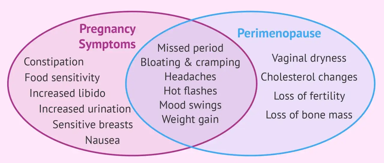 Venn-Diagramm zeigt Schwangerschaftssymptome und Perimenopause-Anzeichen. Trotz Wechseljahre schwanger geworden? Erfahrungen mit Übelkeit, Hitzewallungen & Co.