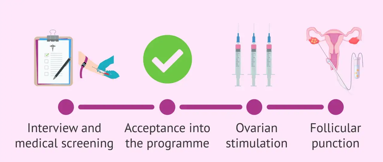 Proceso de donaci&oacute;n de &oacute;vulos: entrevista, aceptaci&oacute;n, estimulaci&oacute;n ov&aacute;rica y punci&oacute;n folicular. Aunque duele donar &oacute;vulos, es un acto de generosidad.