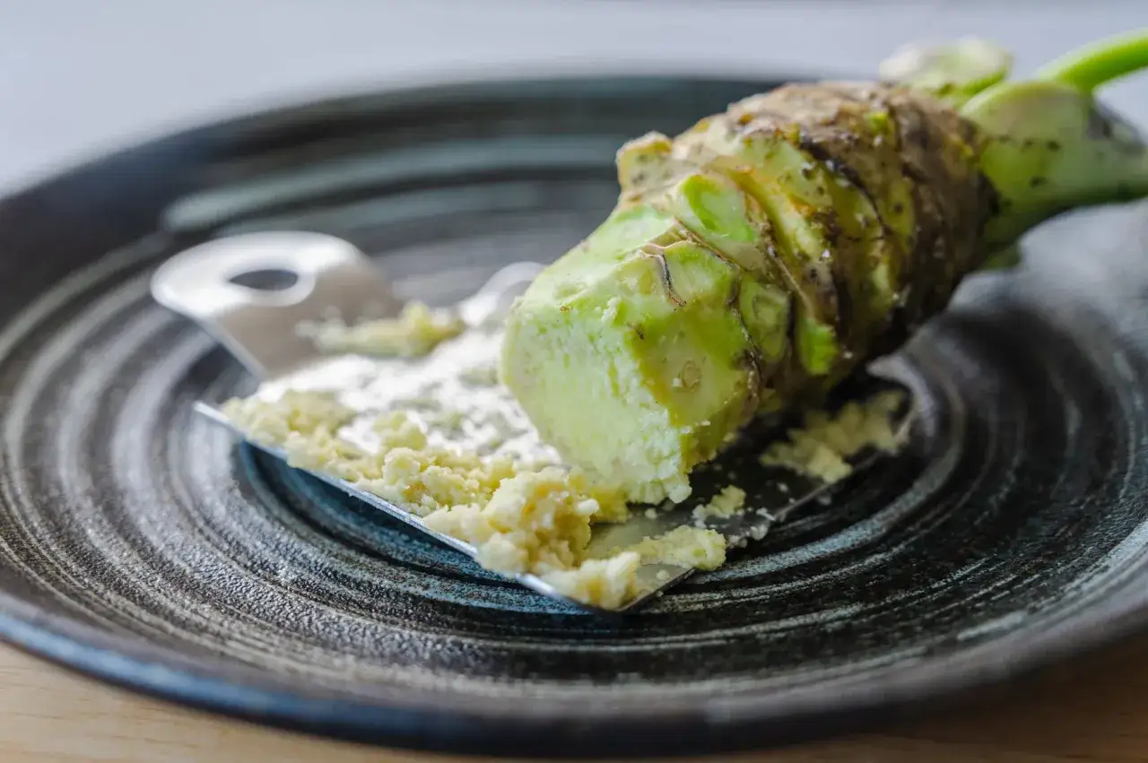 Świeży korzeń wasabi jest ścierany na tarce, pokazując, z czego robi się wasabi.