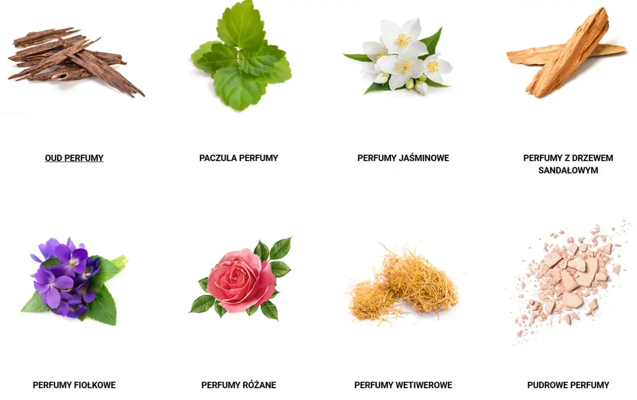 Oud, paczula, jaśmin, drzewo sandałowe, fiołki, róża, wetiweria i puder – składniki perfum. Eau de parfum tłumaczenie.