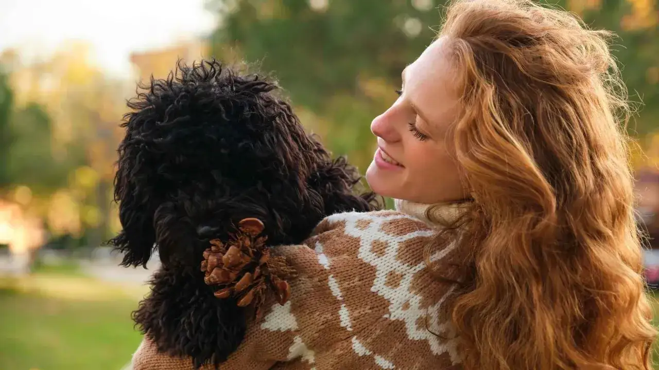 Mujer abraza a su perro de pelo rizado, un ejemplo de perros que no dan alergia. Disfrutan de un momento tierno al aire libre.