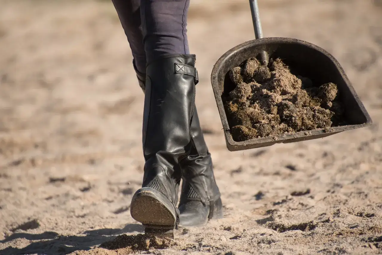 Une personne en bottes d'équitation ramasse du crottin de cheval avec une pelle, respectant la réglementation sur la voie publique.