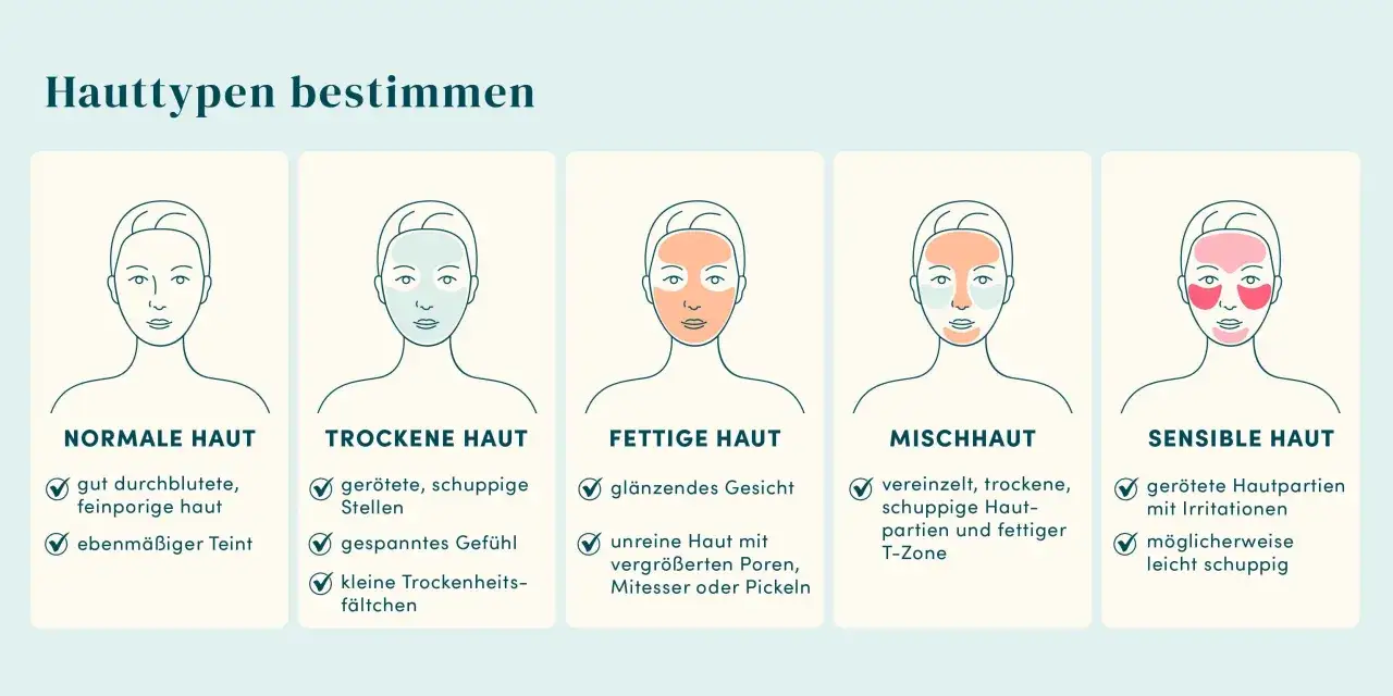 Illustrationen zeigen fünf Hauttypen: normal, trocken, fettig, Mischhaut und sensibel. Hilft bei der Bestimmung, welcher Hauttyp ich bin.