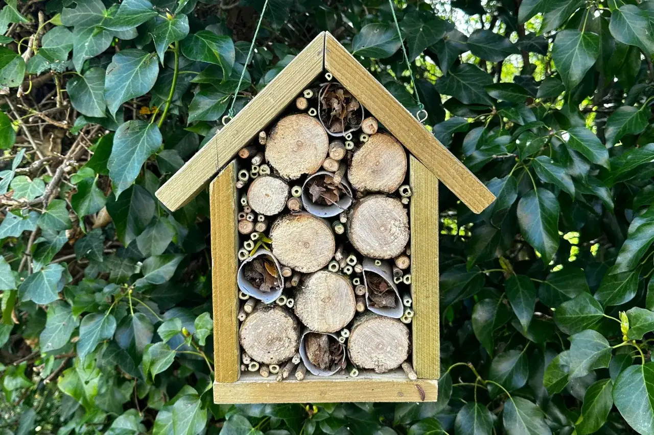 Ein selbstgebautes Insektenhotel aus Holz und Naturmaterialien, das kleinen Krabbeltieren ein Zuhause bietet.