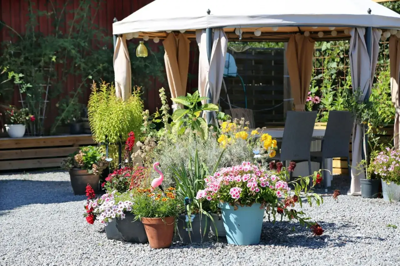 En sommaridyll med blomster i krukor och en paviljong. Kanske dags att plantera syren f&ouml;r att skapa mer skugga och doft.