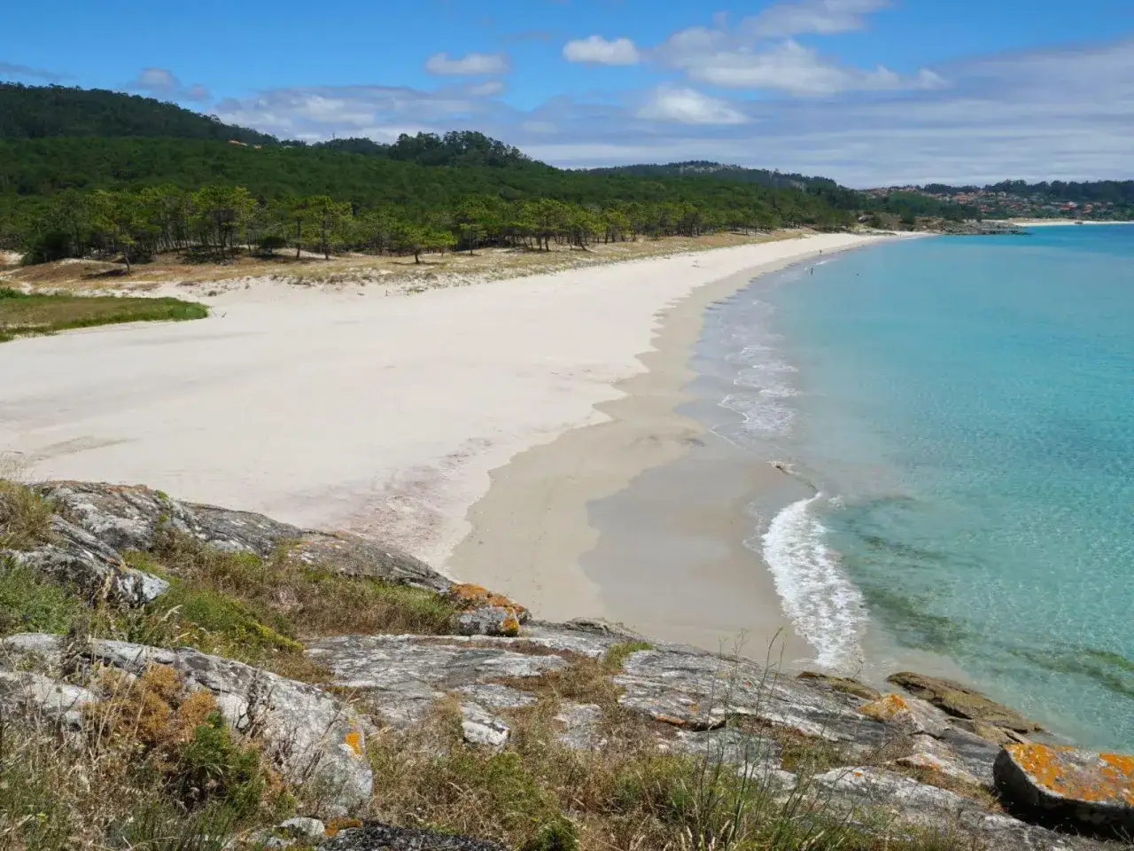Vista panorámica de la playa del medio, con arena blanca, aguas turquesas y pinos verdes en la ladera.