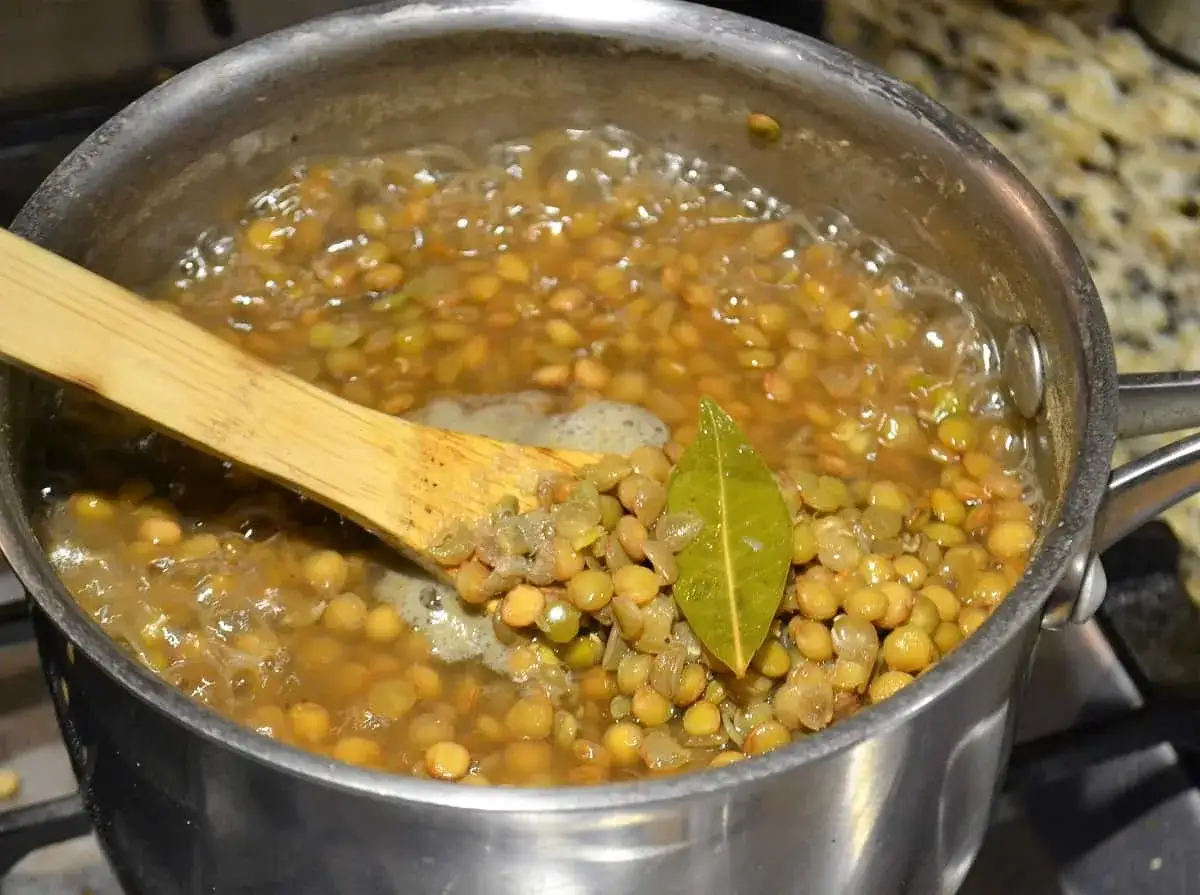 Linsen kochen in einem Topf mit einem Lorbeerblatt. Perfekt zum späteren linsen einfrieren.