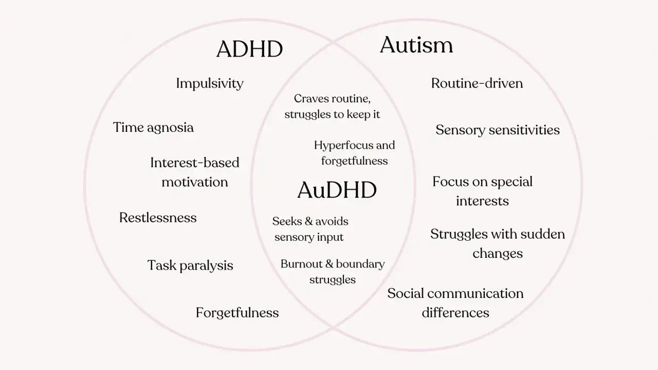 Diagram porównujący ADHD i autyzm, z obszarem wspólnym AuDHD. Nie ma dowodów, że autyzm jest wyleczalny.