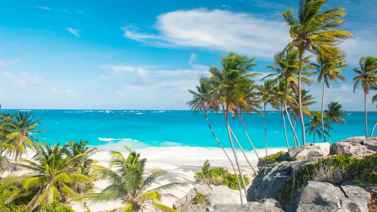 Rajskie plaże, palmy i turkusowe morze – idealne miejsce na Barbados wakacje.