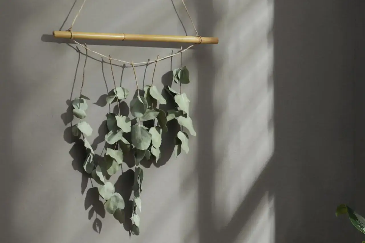 Ein hängender Zweig mit eukalyptus trocknen Blättern, befestigt an einem Bambusstab. Schatten fallen von den Blättern an die Wand.