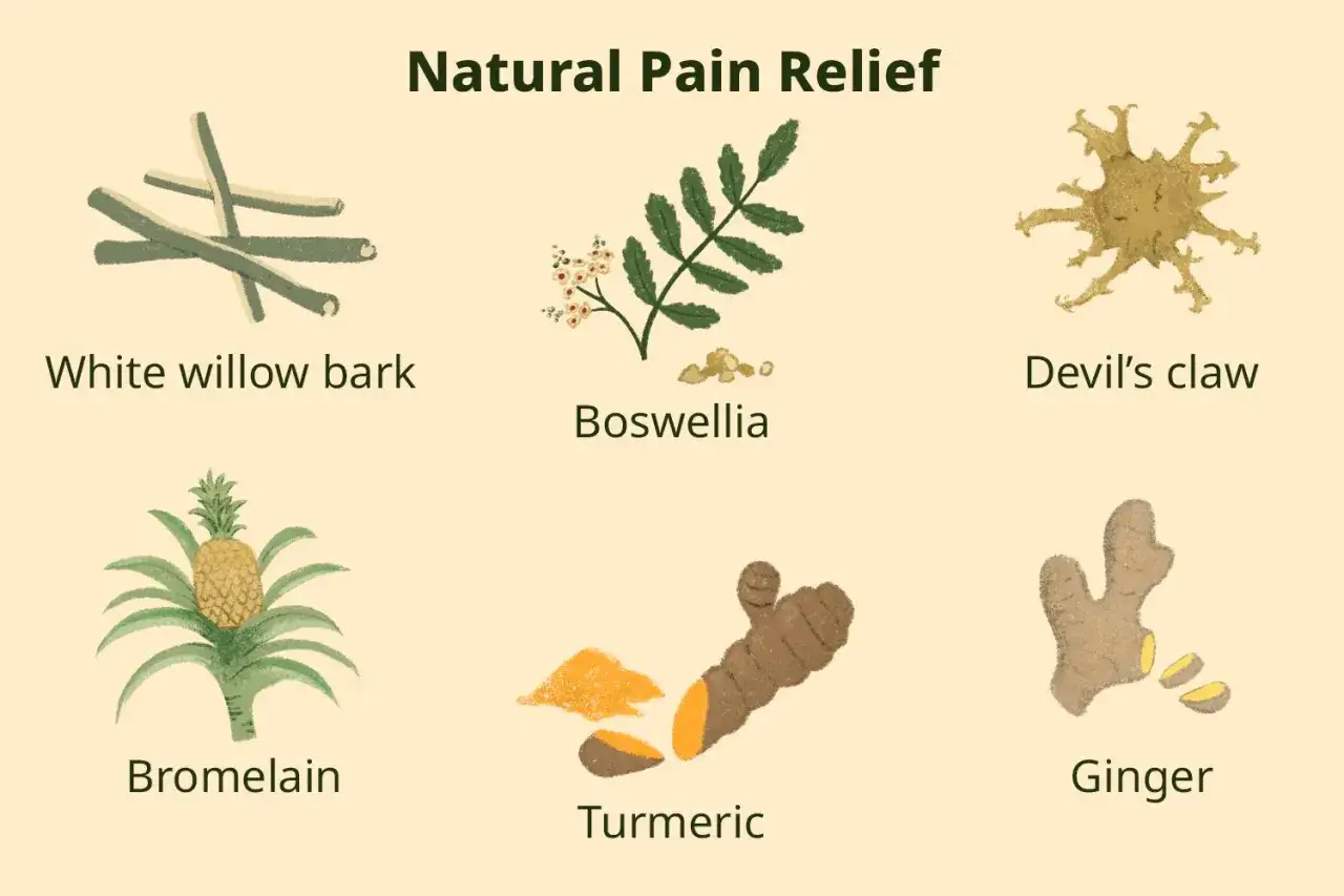 Plantes pour soulager les douleurs articulaires : écorce de saule blanc, boswellia, griffe du diable, bromélaïne, curcuma, gingembre.