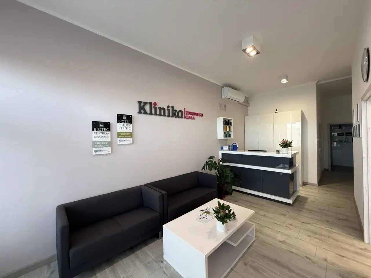 Recepcja kliniki estetycznej z sofami, stolikiem kawowym i rośliną.