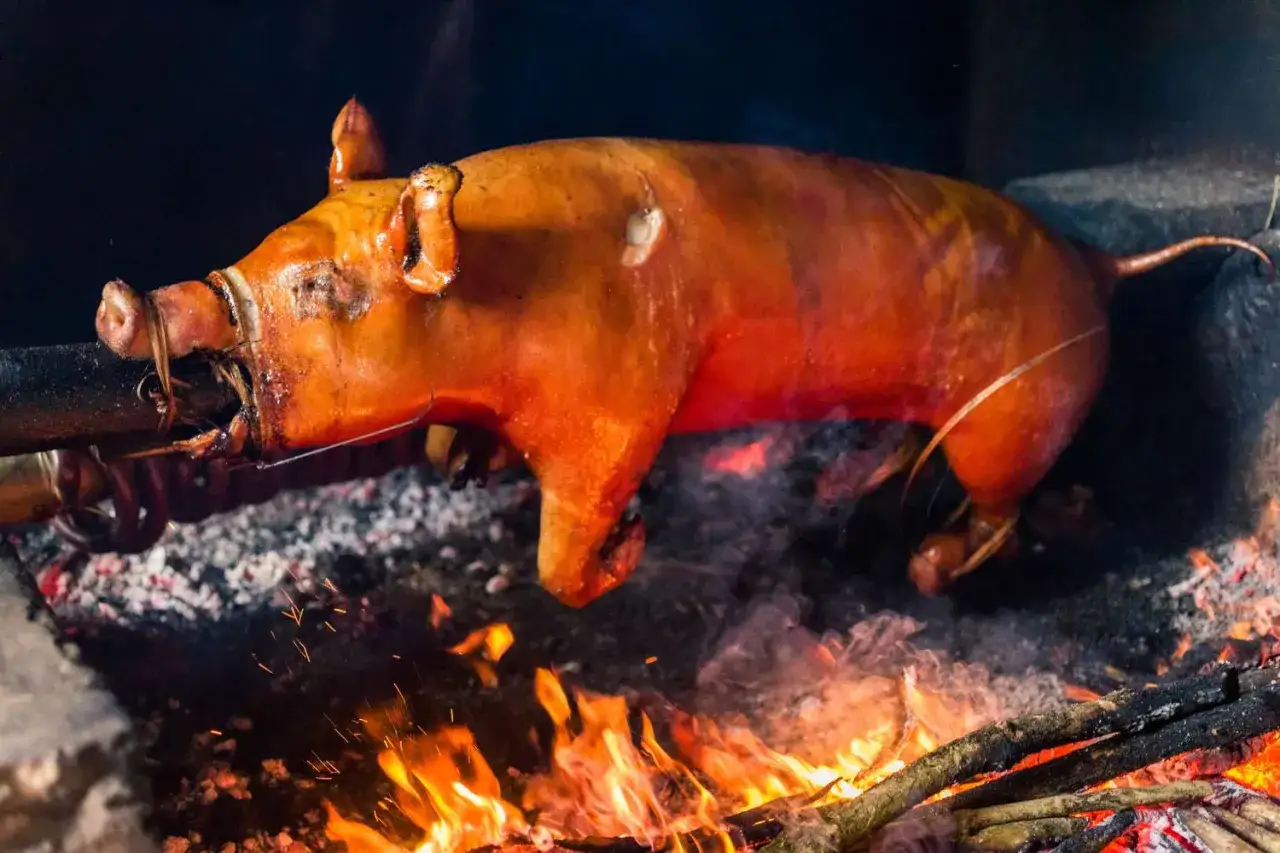 A whole spanish cochinillo, golden brown and crispy, slowly roasting over an open fire. Smoke and embers rise from the glowing coals.