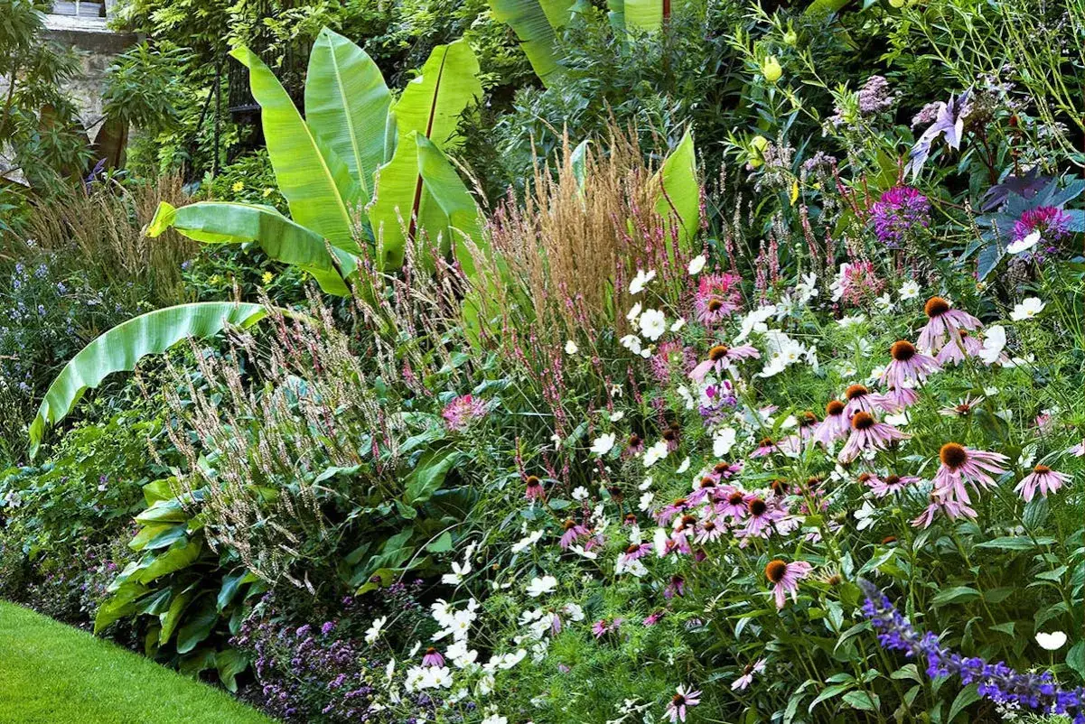 Un jardin luxuriant avec de grandes feuilles vertes, des herbes hautes et des fleurs roses et blanches. Une plante exotique extérieur qui évoque un paradis tropical.