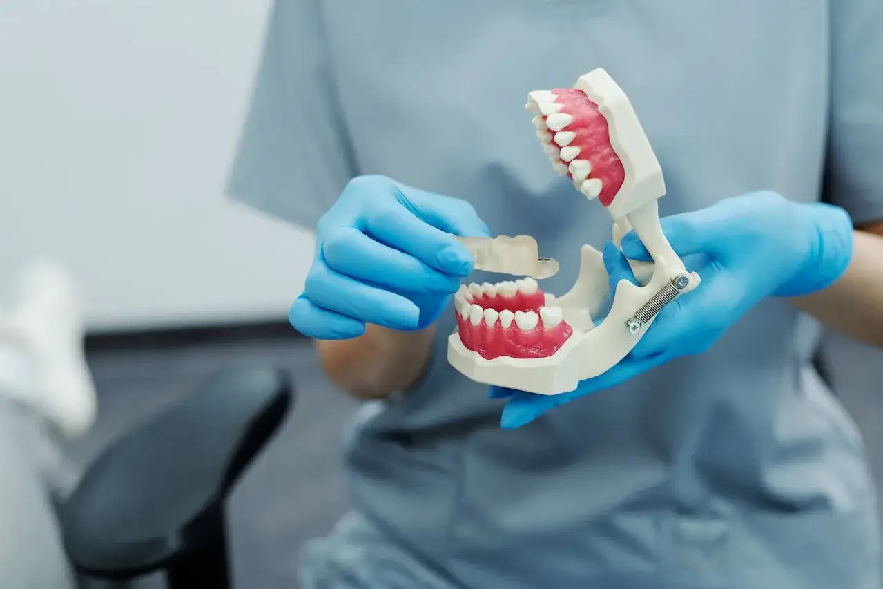 Dentysta w niebieskich rękawiczkach prezentuje model szczęki z przezroczystą szyną repozycyjną.