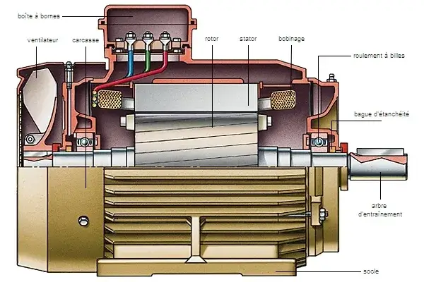 moteur &eacute;lectrique de voiture en coupe transversale