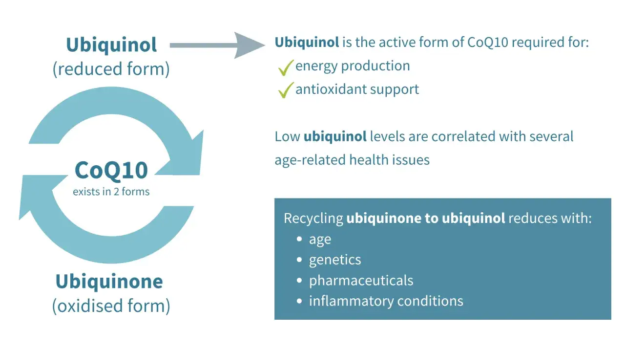 Ubiquinol ist die aktive Form von CoQ10 f&uuml;r Energie & Antioxidantien. Niedrige Ubiquinol-Werte sind mit altersbedingten Problemen verbunden.