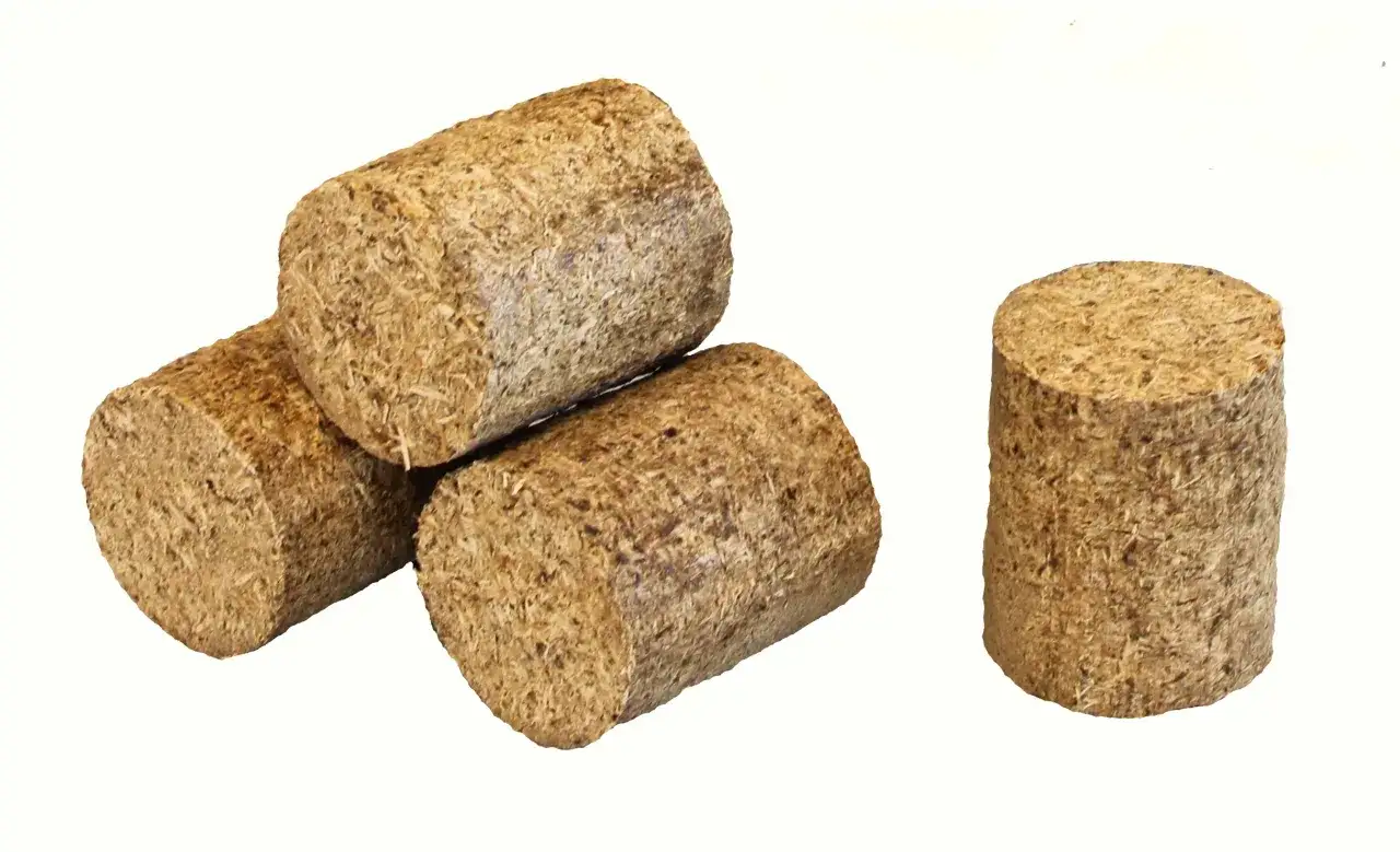 Cztery cylindryczne brykiety z trocin, idealne do ogrzewania. Gdzie kupić brykiet? Tutaj!