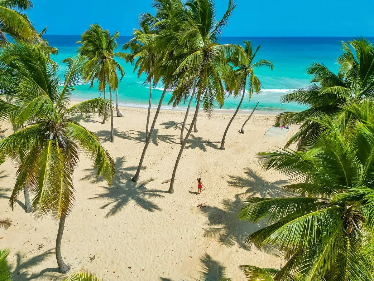 Traumhafter Strand auf der **Dominikanischen Republik** mit Palmen und t&uuml;rkisblauem Meer. Eine Frau im roten Badeanzug genie&szlig;t die Sonne.