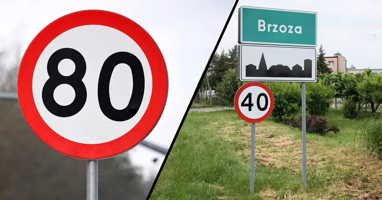 Znak ograniczenia prędkości 80 km/h po lewej, a po prawej znak miejscowości Brzoza i ograniczenia prędkości 40 km/h.