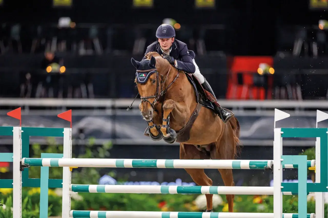 Un cavalier et son cheval, un magnifique **drako de maugre**, franchissent un obstacle lors d'une compétition d'équitation.