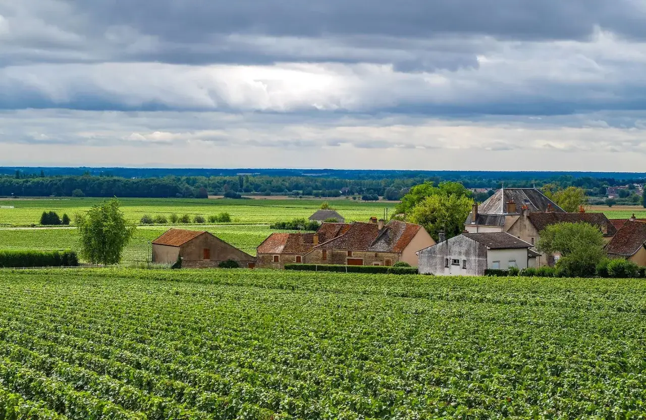 Paysage de vignoble verdoyant sous un ciel nuageux, avec des maisons aux toits de tuiles rouges. La **tollot beaut** de la campagne française est saisissante.