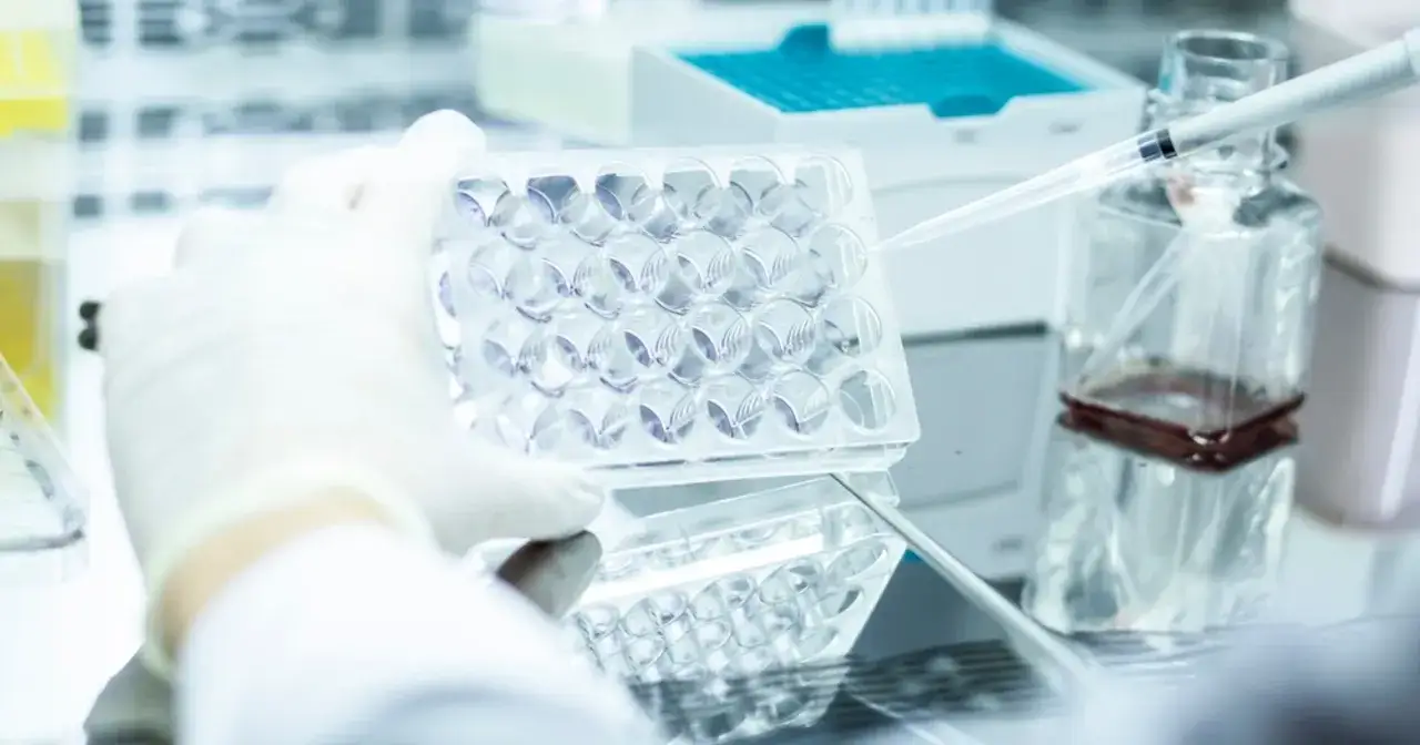 W laboratorium, naukowcy pracują nad kom&oacute;rkami w płytce wielodołkowej, badając, czy in vitro to grzech.