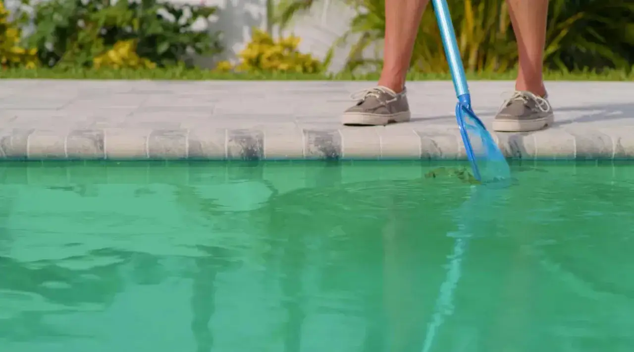 Person rensar bort alger i poolen med ett nät.