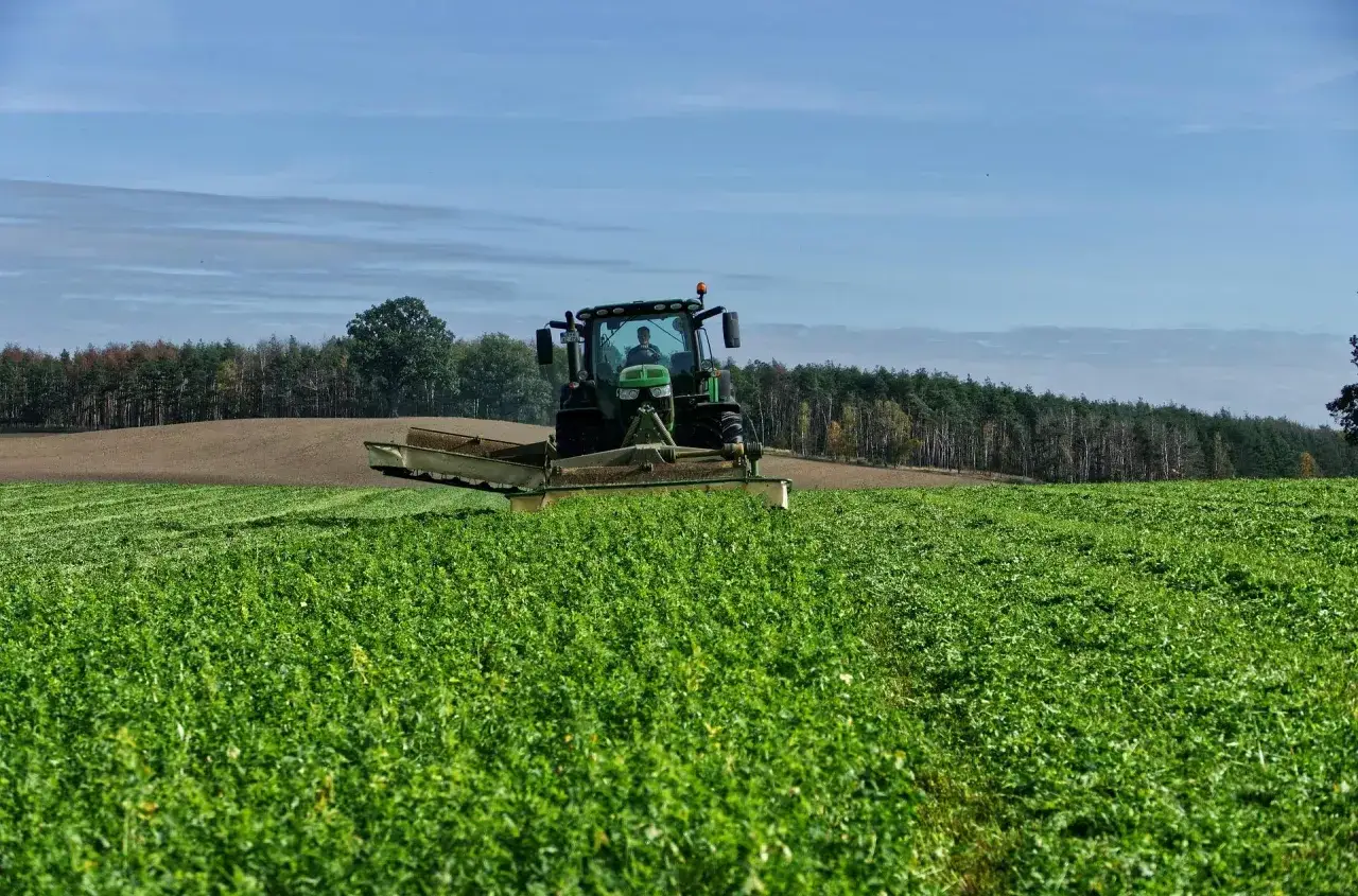 Zielony traktor kosi pole. Rolnik, który głosował za zielonym ładem, dba o naturę.