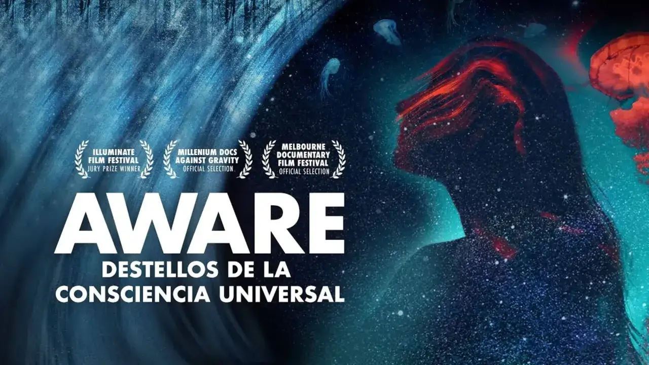 Cartel de