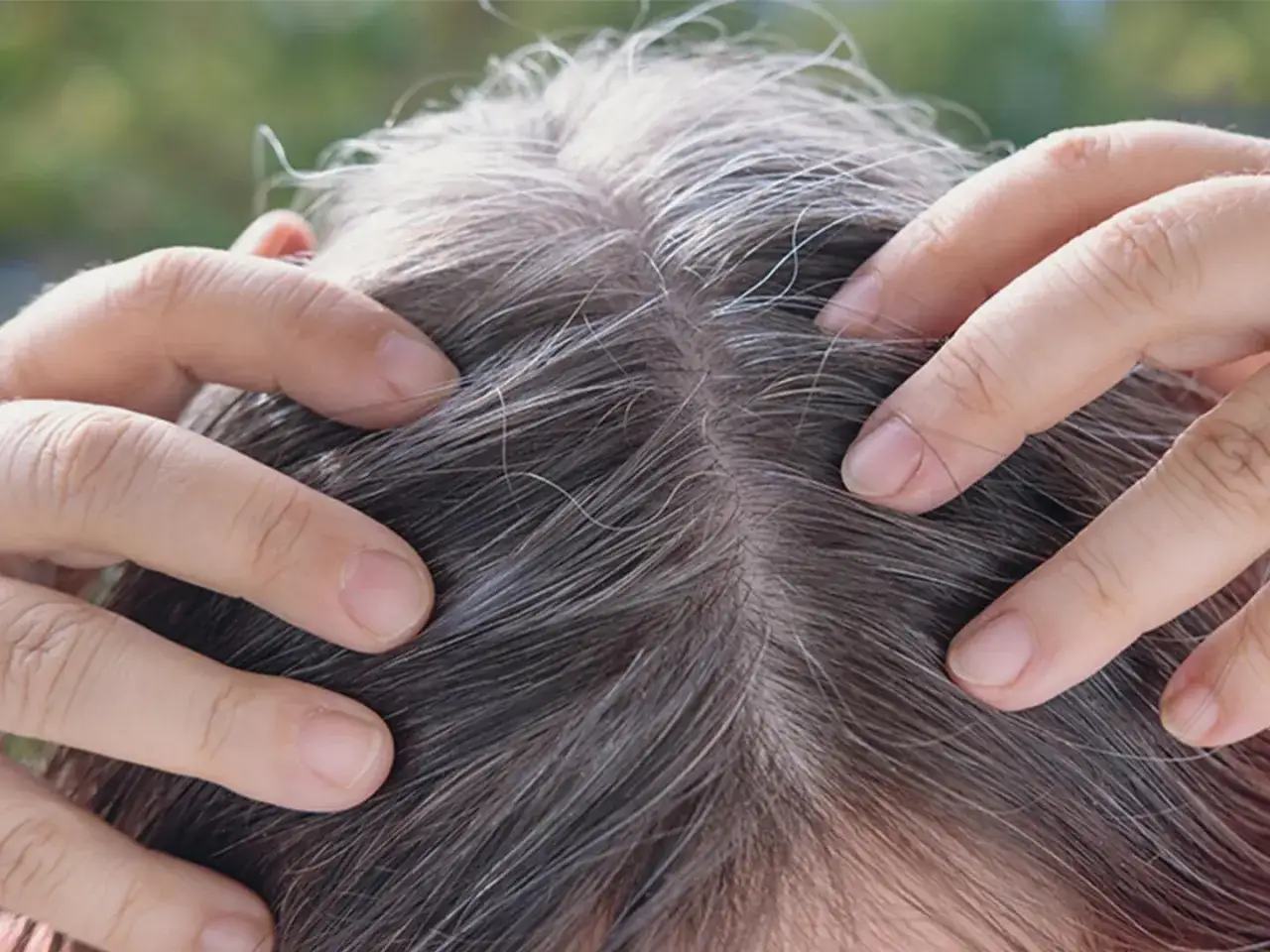 H&auml;nde ber&uuml;hren graues Haar, das auf **Haarausfall bei Frauen im Alter** hindeutet. Die Kopfhaut ist sichtbar.