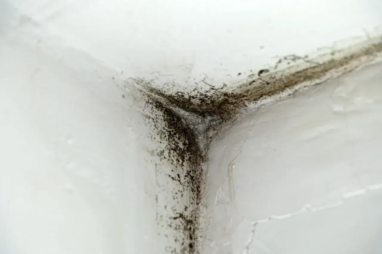 Dunkle Stockflecken an der Wand, oft durch Feuchtigkeit verursacht, breiten sich in der Ecke aus.