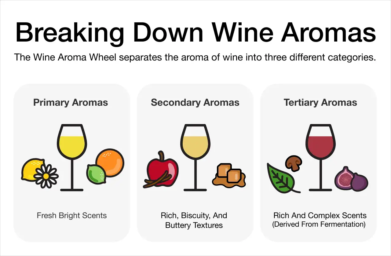 Jak degustować wino? Schemat 