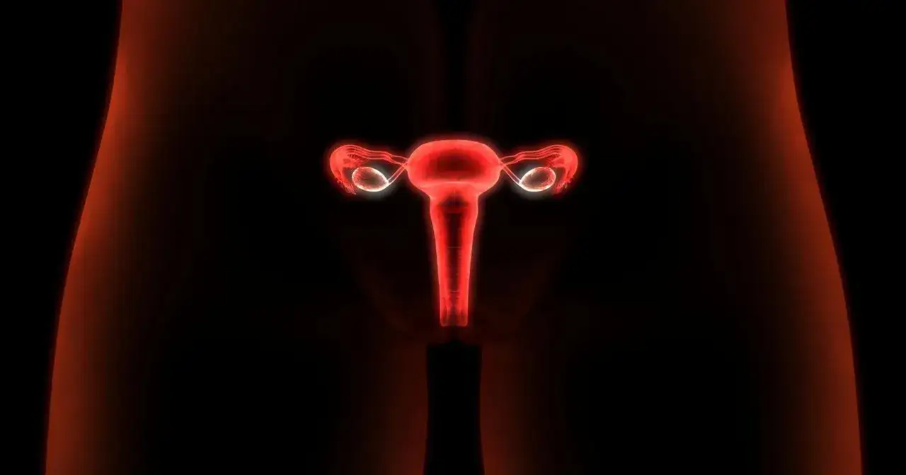 Anatomia kobieca z widocznym narządem rodnym, gdzie uwidoczniono szyjkę macicy, sugerującą potencjalną dysplazję szyjki macicy.