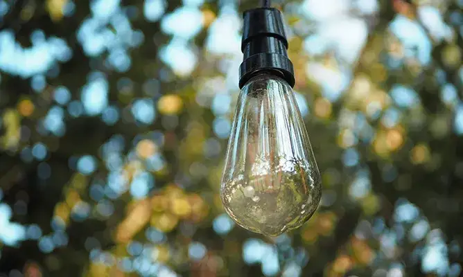 Zdjęcie Jaki obiektyw do bokeh? Wybierz najlepszy obiektyw do pięknych zdjęć