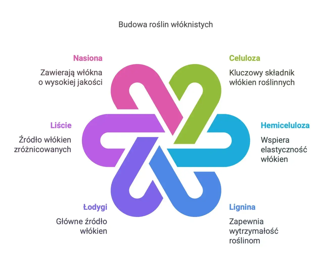 Zdjęcie Jakie są włókna roślinne? Odkryj ich właściwości i zastosowania