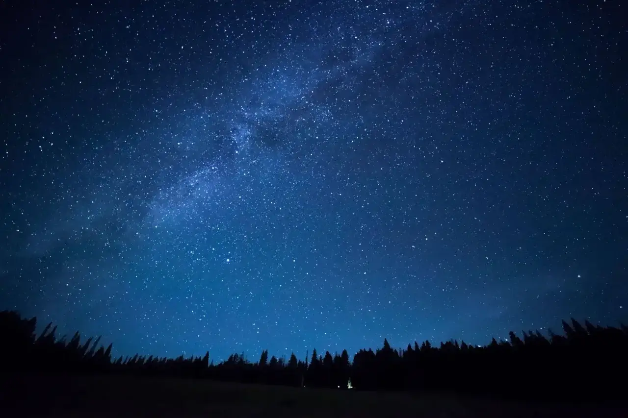 Bieszczady dzika przyroda nocne niebo