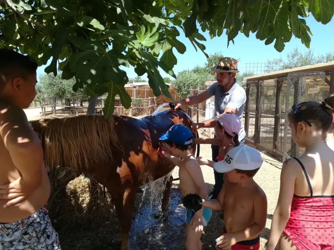 Bambini aiutano a lavare un cavallo in una fattoria didattica in Sicilia. Un'esperienza divertente e istruttiva.