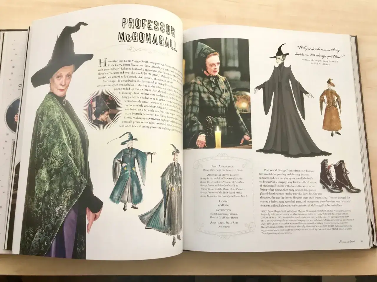 Buchvorstellung Harry Potter und der Stein der Weisen: Professor McGonagall in ihren ikonischen Roben.