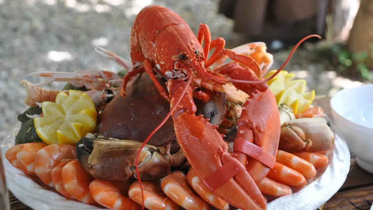 Marisco fresco, langosta y gambas, perfecto para descubrir los mejores pueblos para comer en Asturias.
