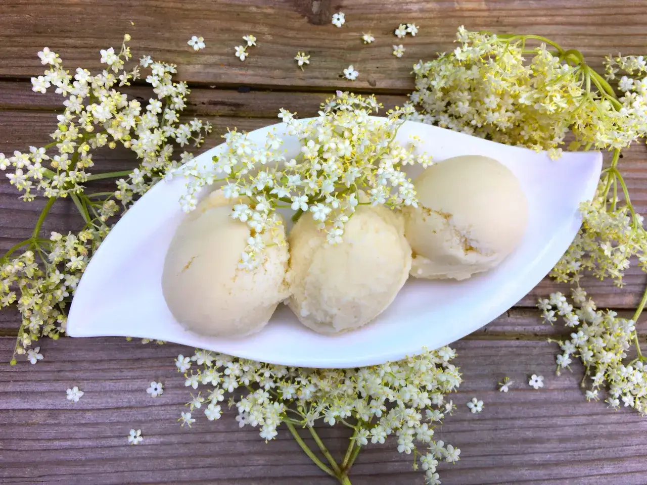 Trois boules de glace crémeuse sur une assiette blanche, entourées de fleurs de sureau. Un délice estival rappelant le sirop de sureau.