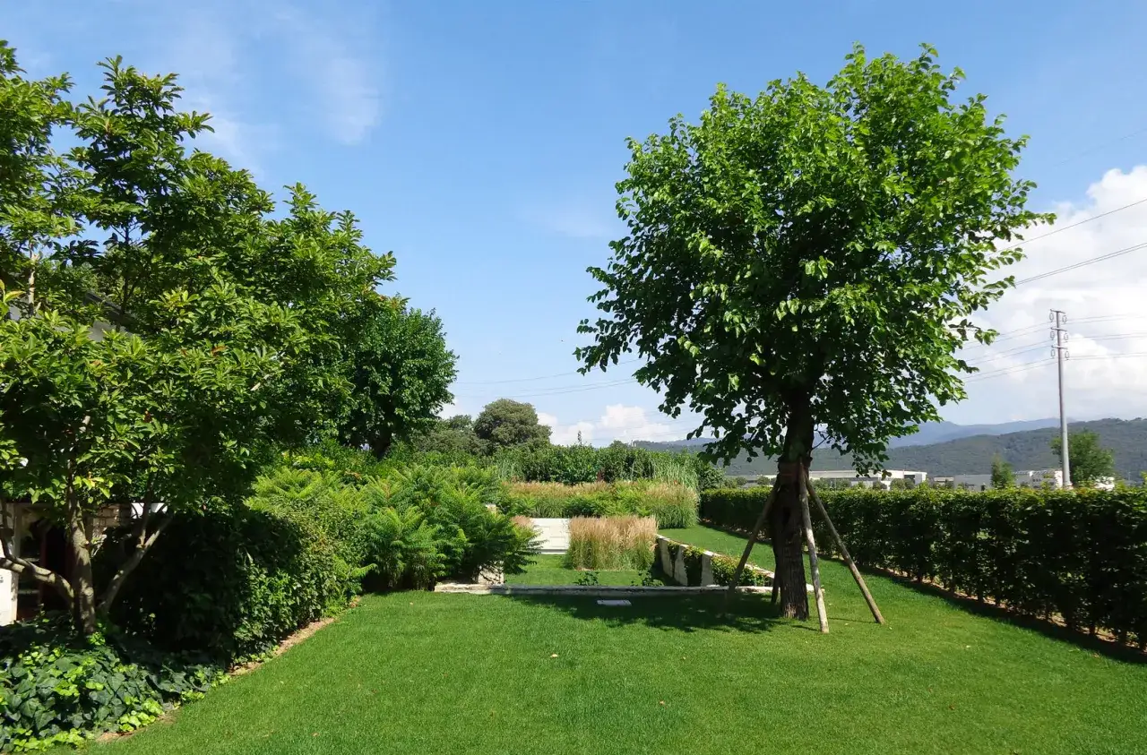 Un giardino curato con diversi tipi di alberi, prati verdi e siepi. In primo piano un albero con tutori, sullo sfondo montagne.
