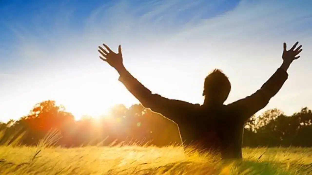 Silhouette of a person with arms raised in a golden field at sunset, embodying the spirit to let go and let God.